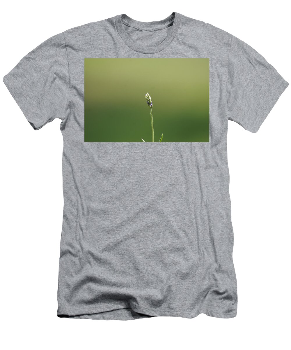  T-Shirt featuring the photograph Lavender by Heather E Harman