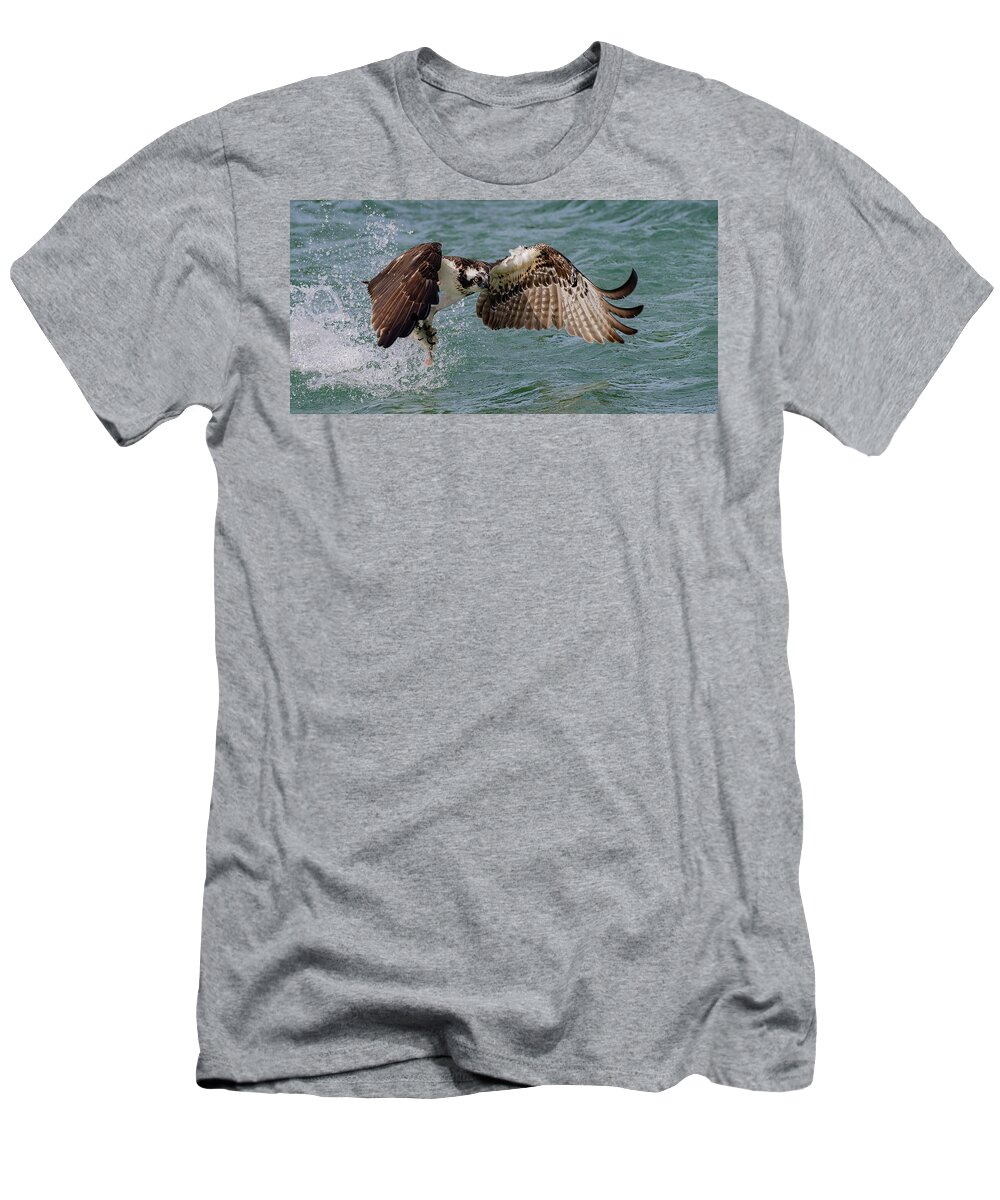 Osprey T-Shirt featuring the photograph Lift Objective by RD Allen