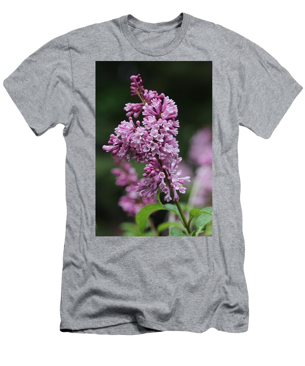 Shrub T-Shirt featuring the photograph Lilac by Tammy Pool