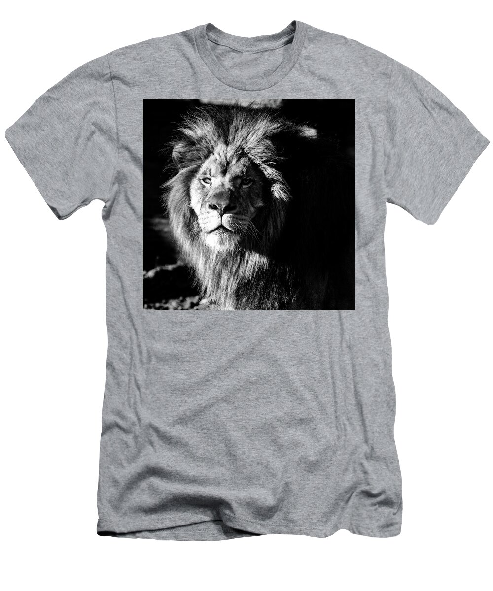 Lion T-Shirt featuring the photograph Lion portrait BW by Flees Photos