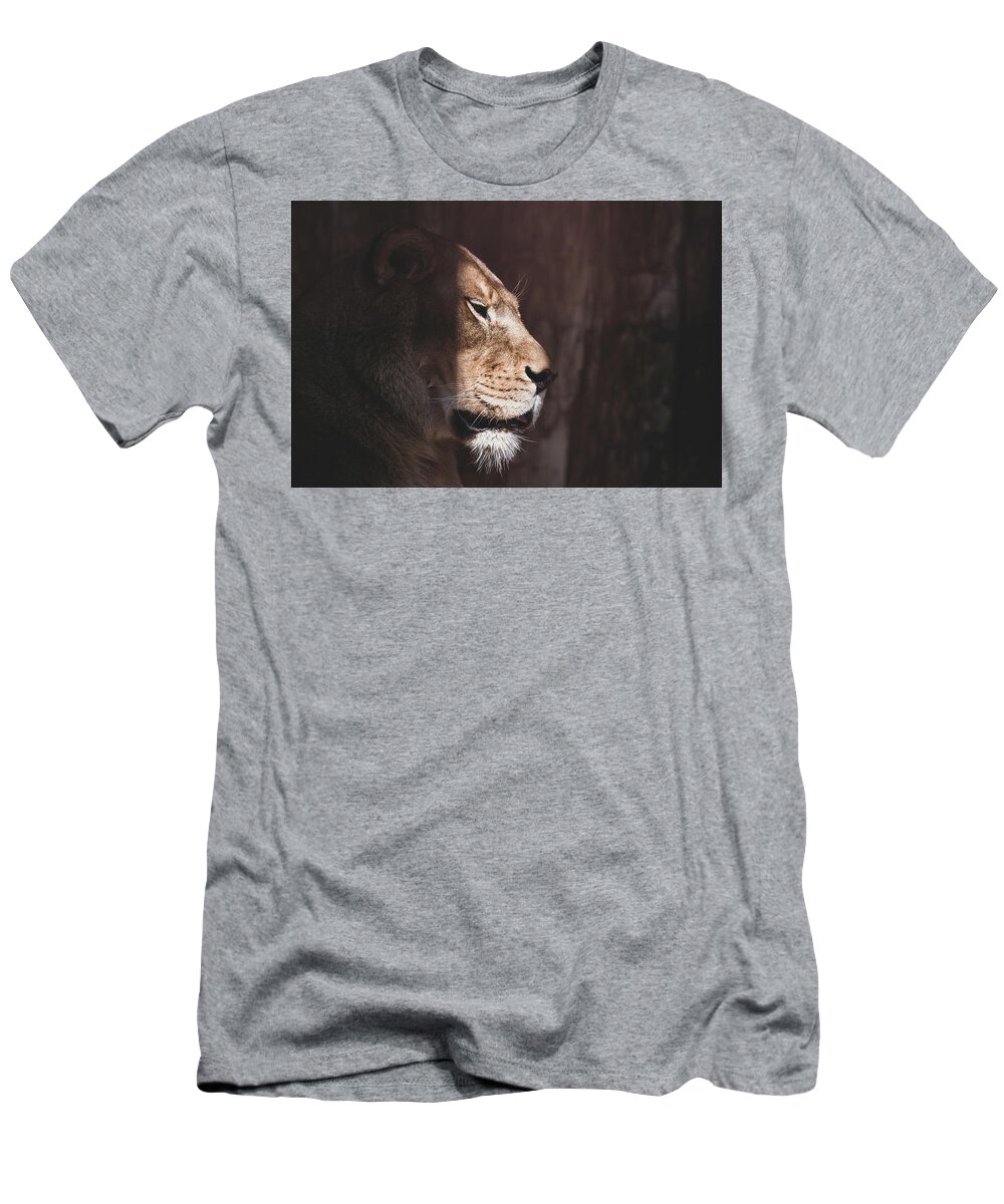 Lioness T-Shirt featuring the photograph Warming Thoughts by Rose Guinther