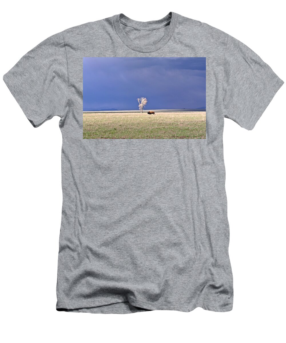 Lone T-Shirt featuring the photograph Lone Buffalo After Storm by Douglas Barnett