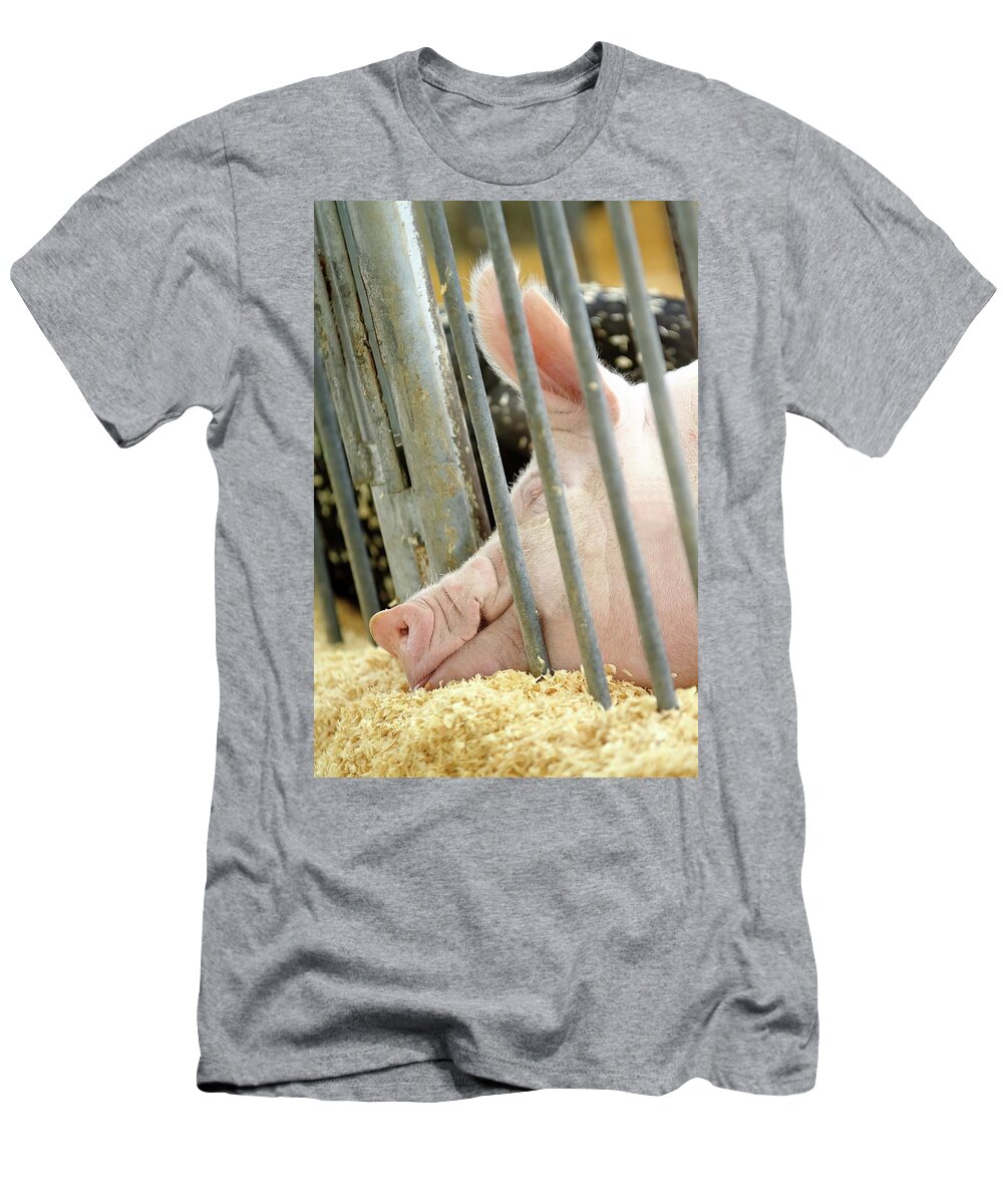Farm T-Shirt featuring the photograph Long Day At The Fair by Lens Art Photography By Larry Trager