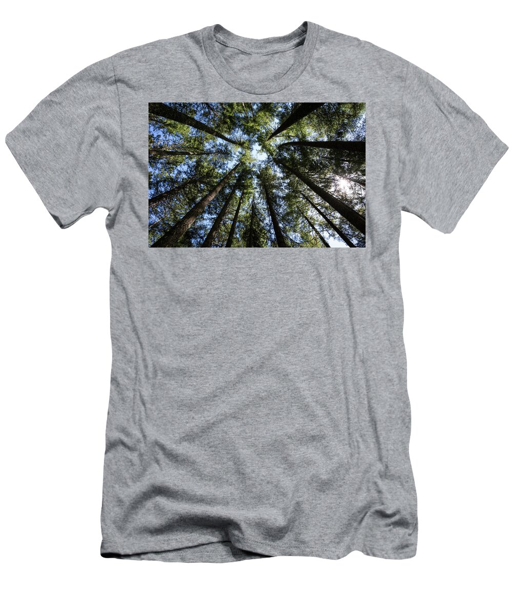 Forests T-Shirt featuring the photograph Looking Up by Steven Clark