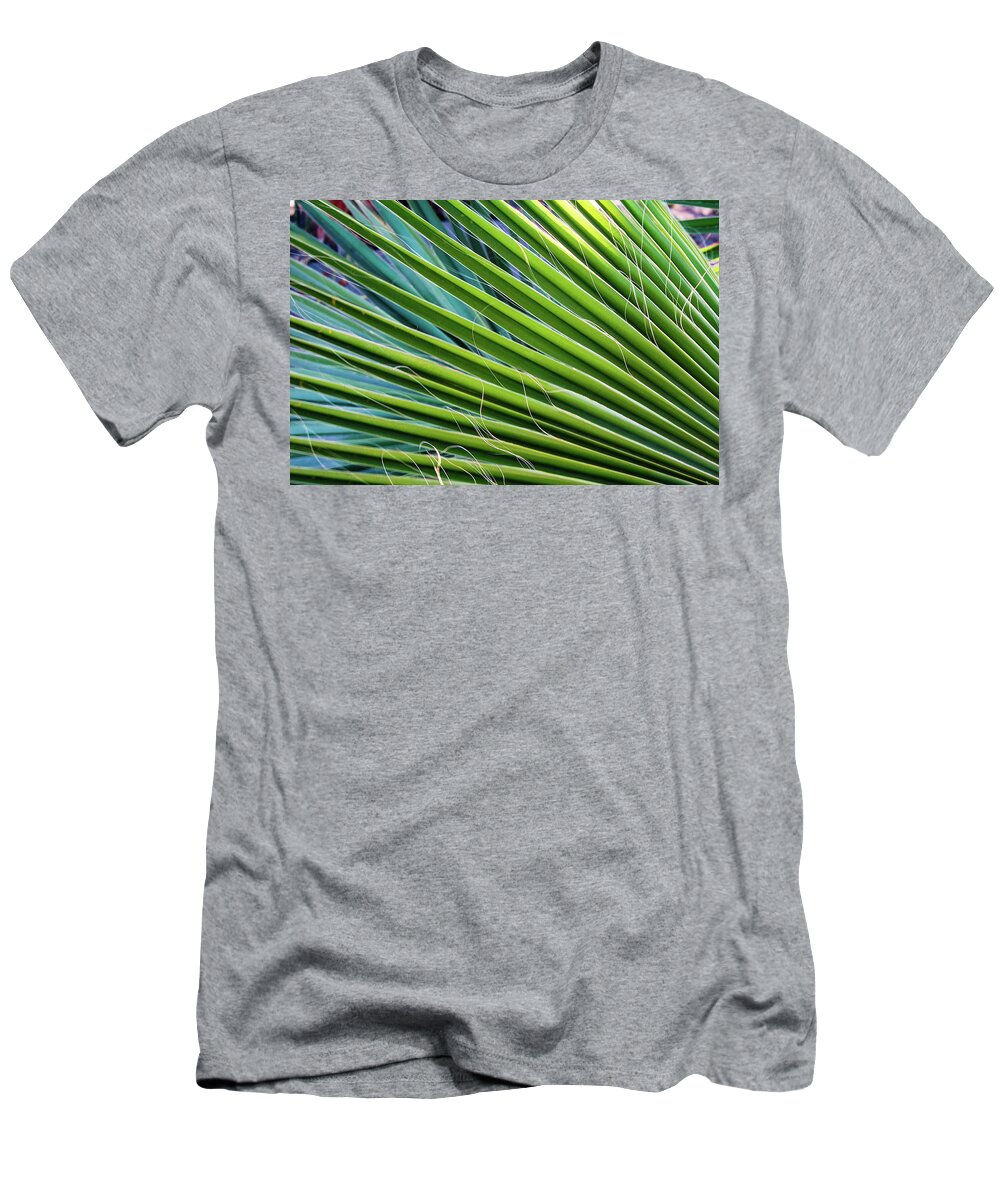 Palm Fronds T-Shirt featuring the photograph Loreto Fronds by William Scott Koenig
