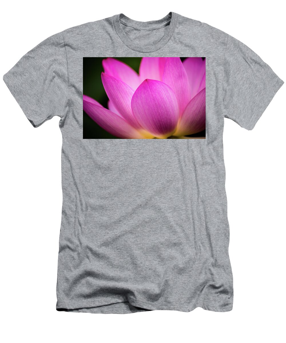 Kenilworth Gardens T-Shirt featuring the photograph Lotus petal by Robert Miller