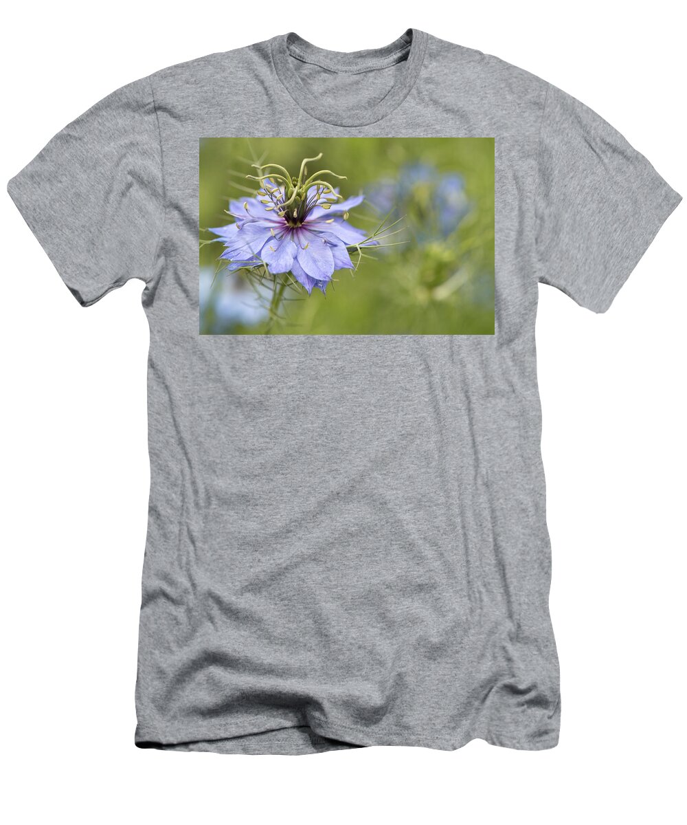 Macro T-Shirt featuring the photograph Love in a Mist by Laura Macky
