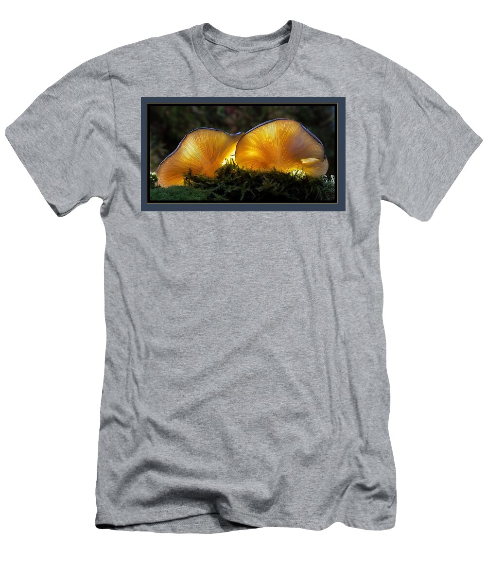 Mushrooms T-Shirt featuring the photograph Magnificent Mushrooms by Nancy Ayanna Wyatt