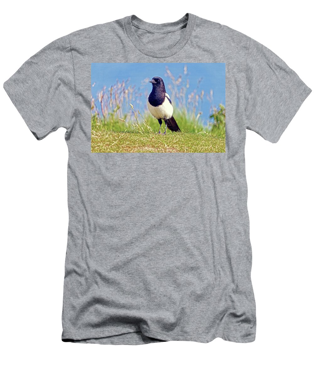 Nature T-Shirt featuring the photograph Magpie - Pica pica by Rod Johnson