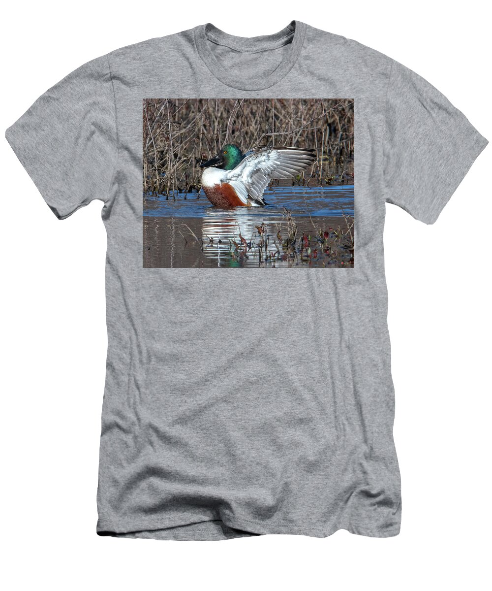 Nature T-Shirt featuring the photograph Male Northern Shoveler Drying off after Bathing DWF0236 by Gerry Gantt
