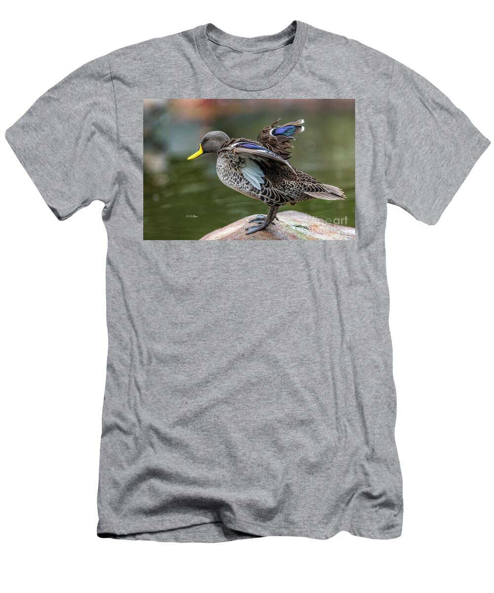 Ducks T-Shirt featuring the photograph Mallard by DB Hayes