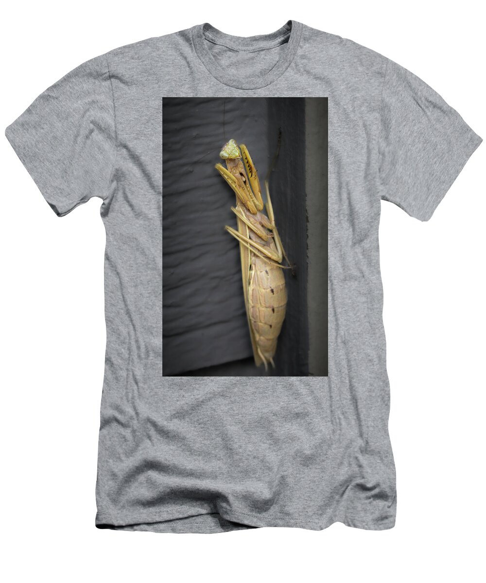 Boise Idaho T-Shirt featuring the photograph Mantis by Mark Mille