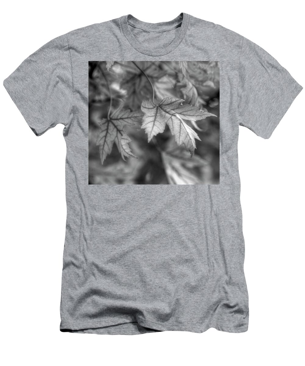 Maple T-Shirt featuring the photograph Maple Leaf in Black and White by James C Richardson