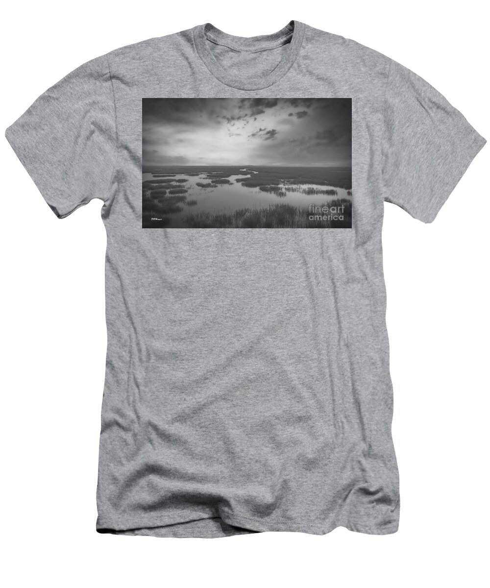 Landscapes T-Shirt featuring the photograph Marshes of Glynn 2 by DB Hayes