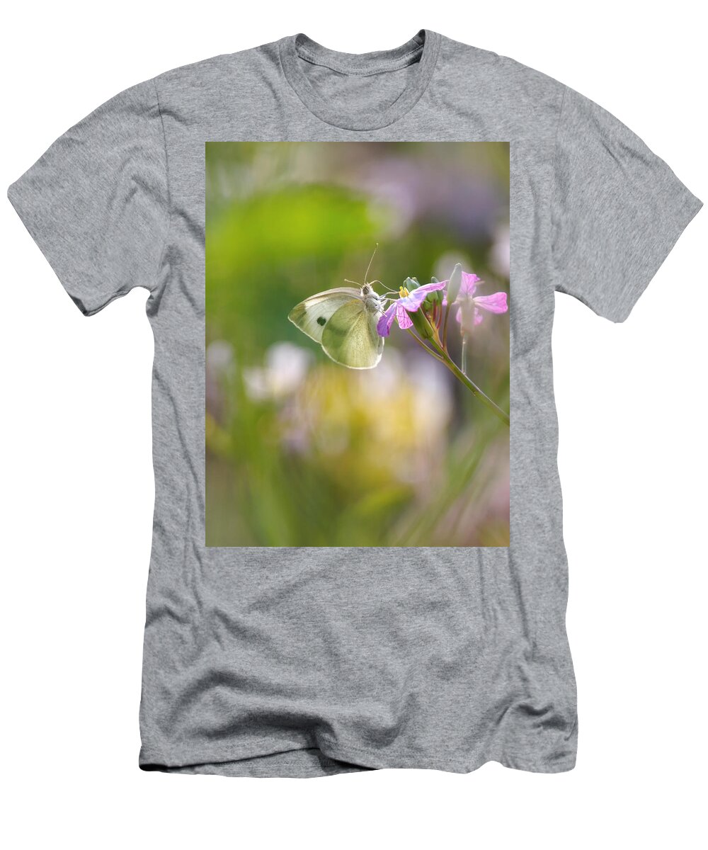 Butterfly T-Shirt featuring the photograph Meadow life 11 by Jaroslav Buna