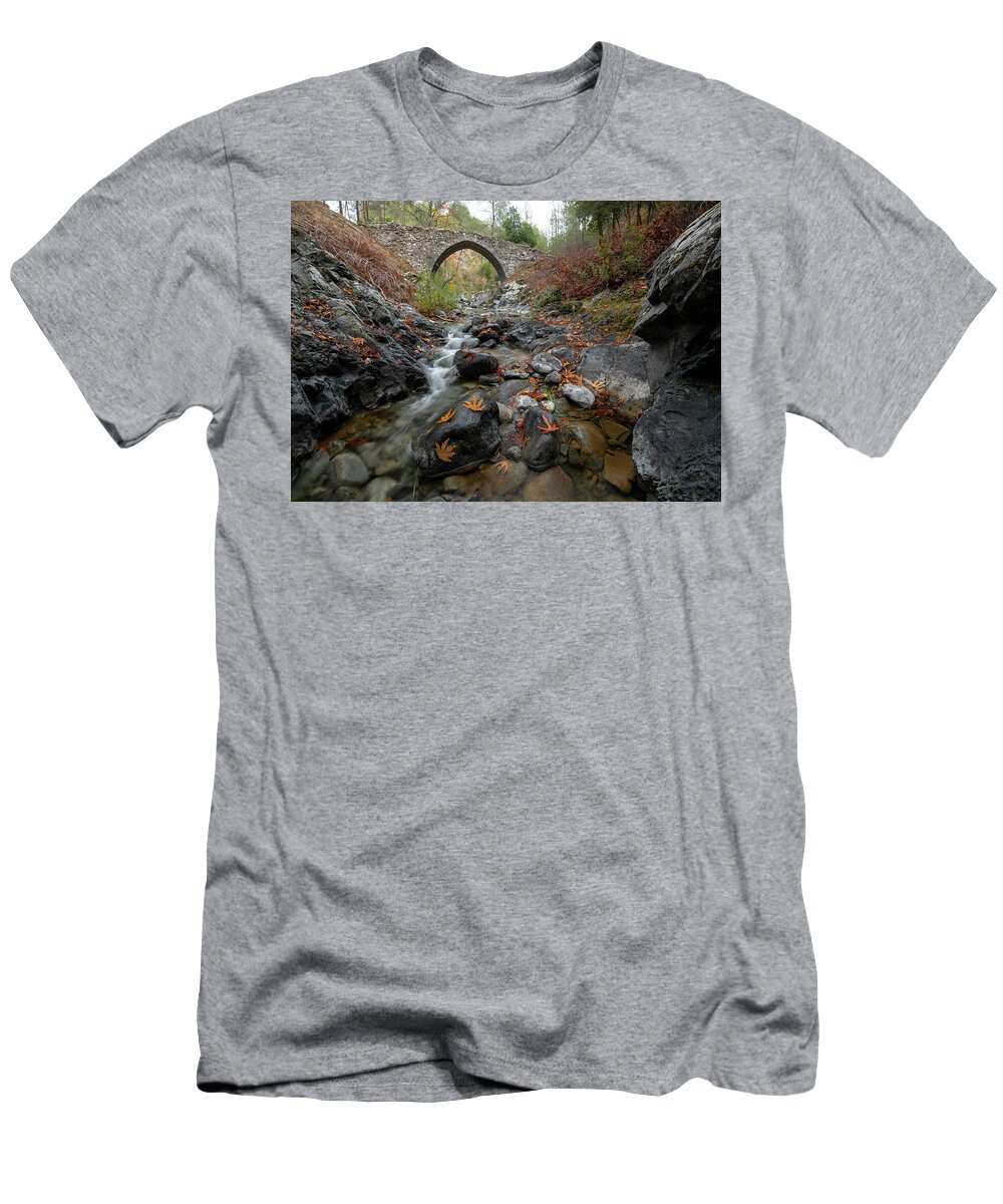 Autumn T-Shirt featuring the photograph Medieval stoned bridge with water flowing in the river in autumn. by Michalakis Ppalis