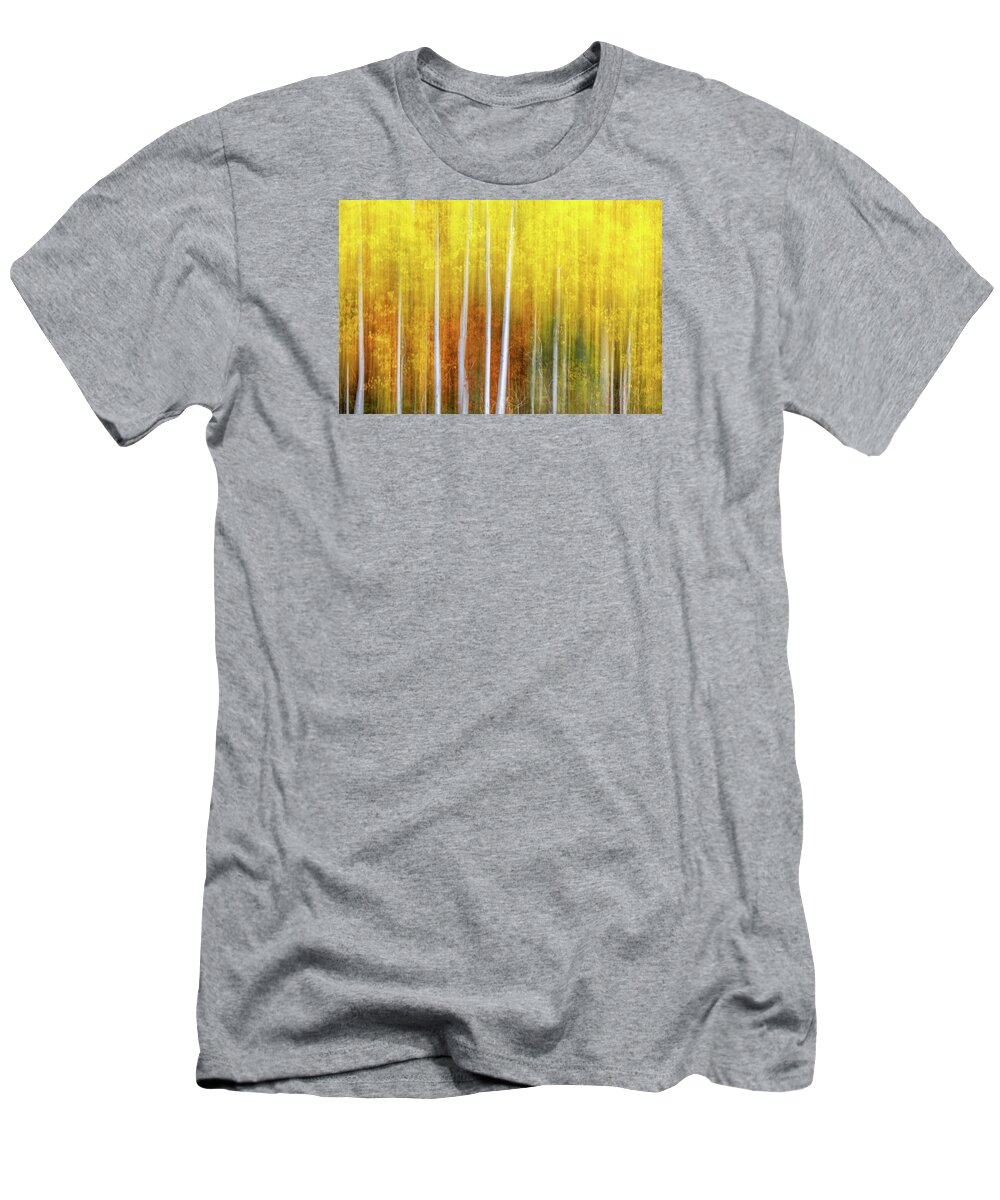 Abstract T-Shirt featuring the photograph Memories of Fall by Laura Roberts