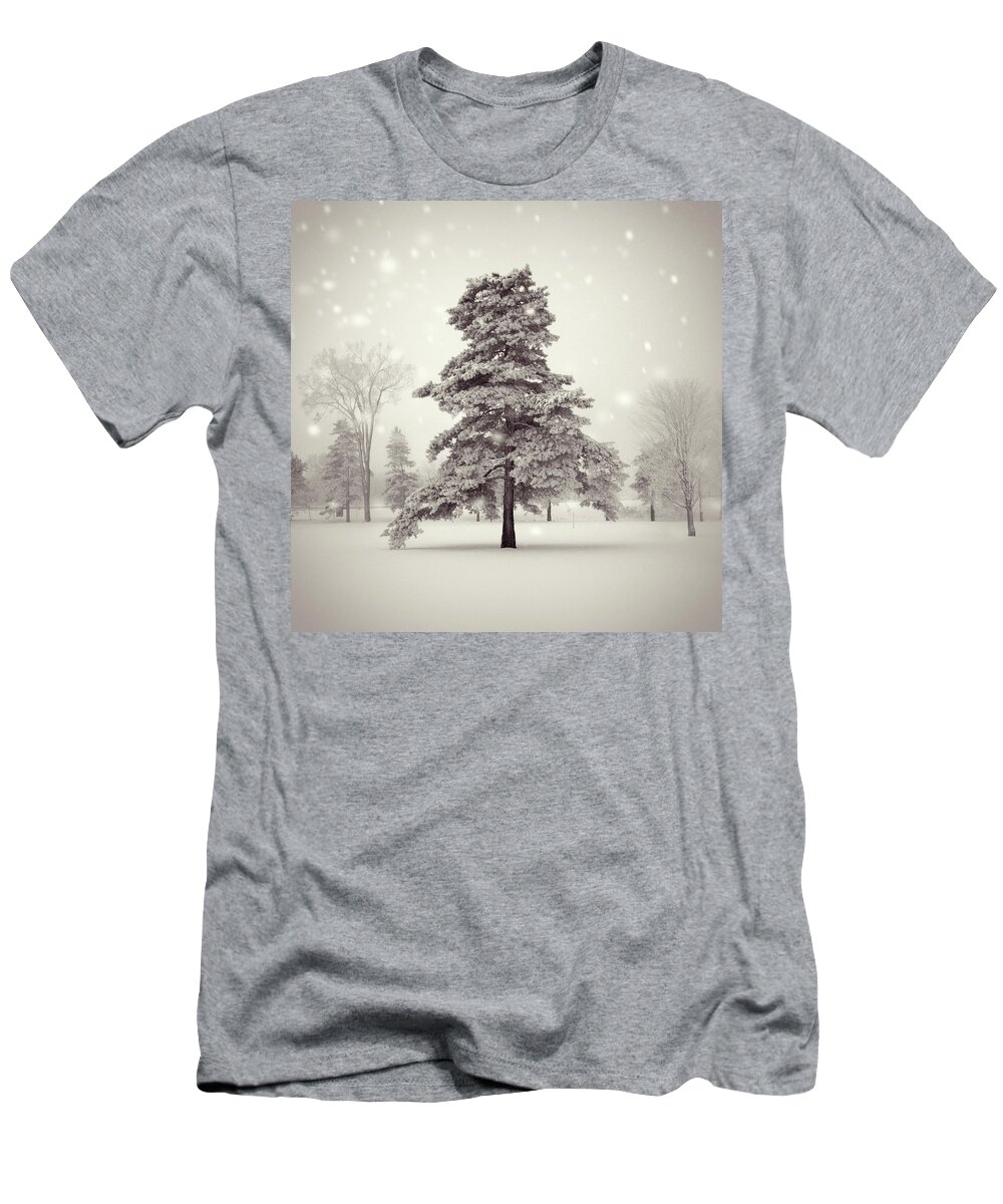 Winter T-Shirt featuring the photograph Memory of a winter's day by RicharD Murphy
