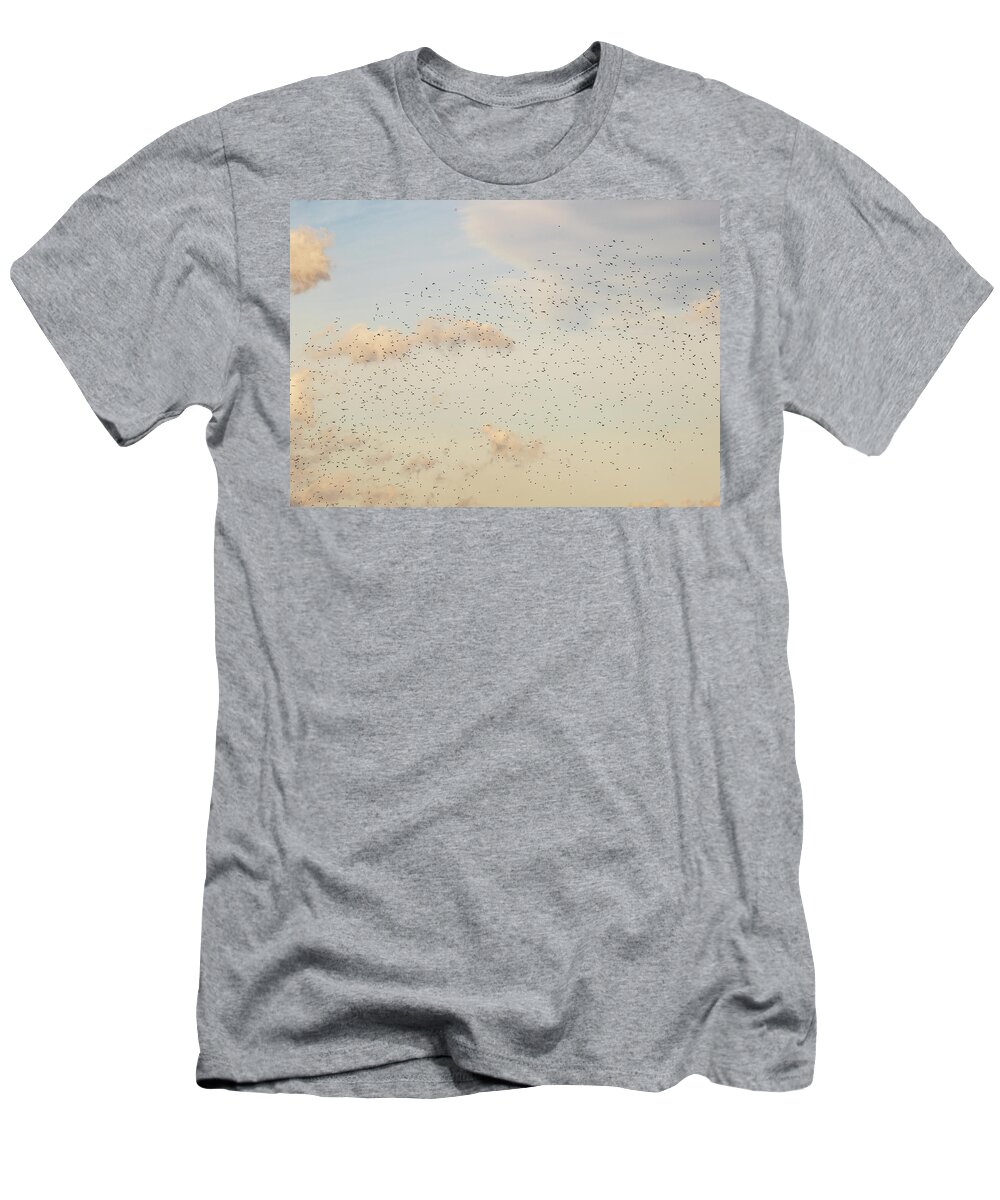 Animals T-Shirt featuring the photograph MIgrating Birds In The Sky by Amelia Pearn