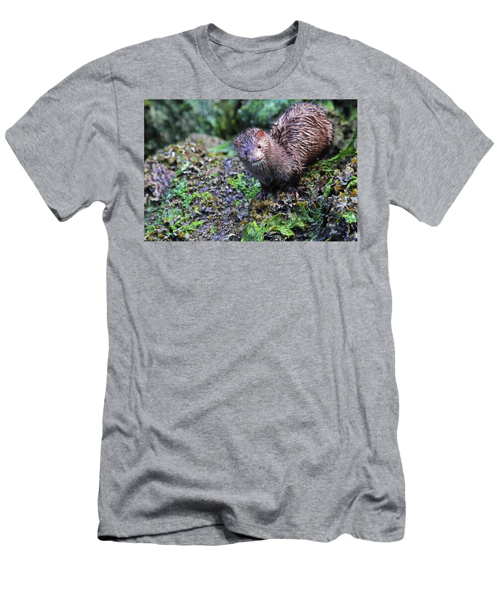 Mink T-Shirt featuring the photograph Mink Closeup by Peggy Collins