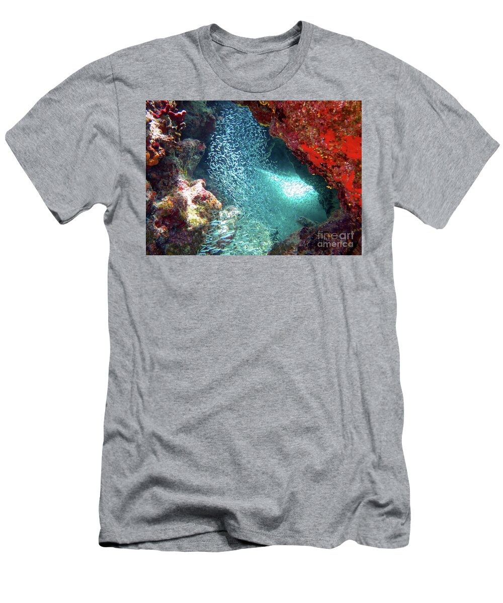 Underwater T-Shirt featuring the photograph Minnows at Banana Patch 1 by Daryl Duda