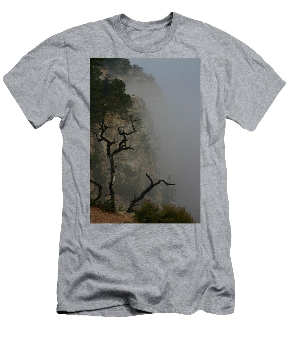 Mist Over Bright Angle T-Shirt featuring the photograph Mist Over Bright Angel by Gene Taylor