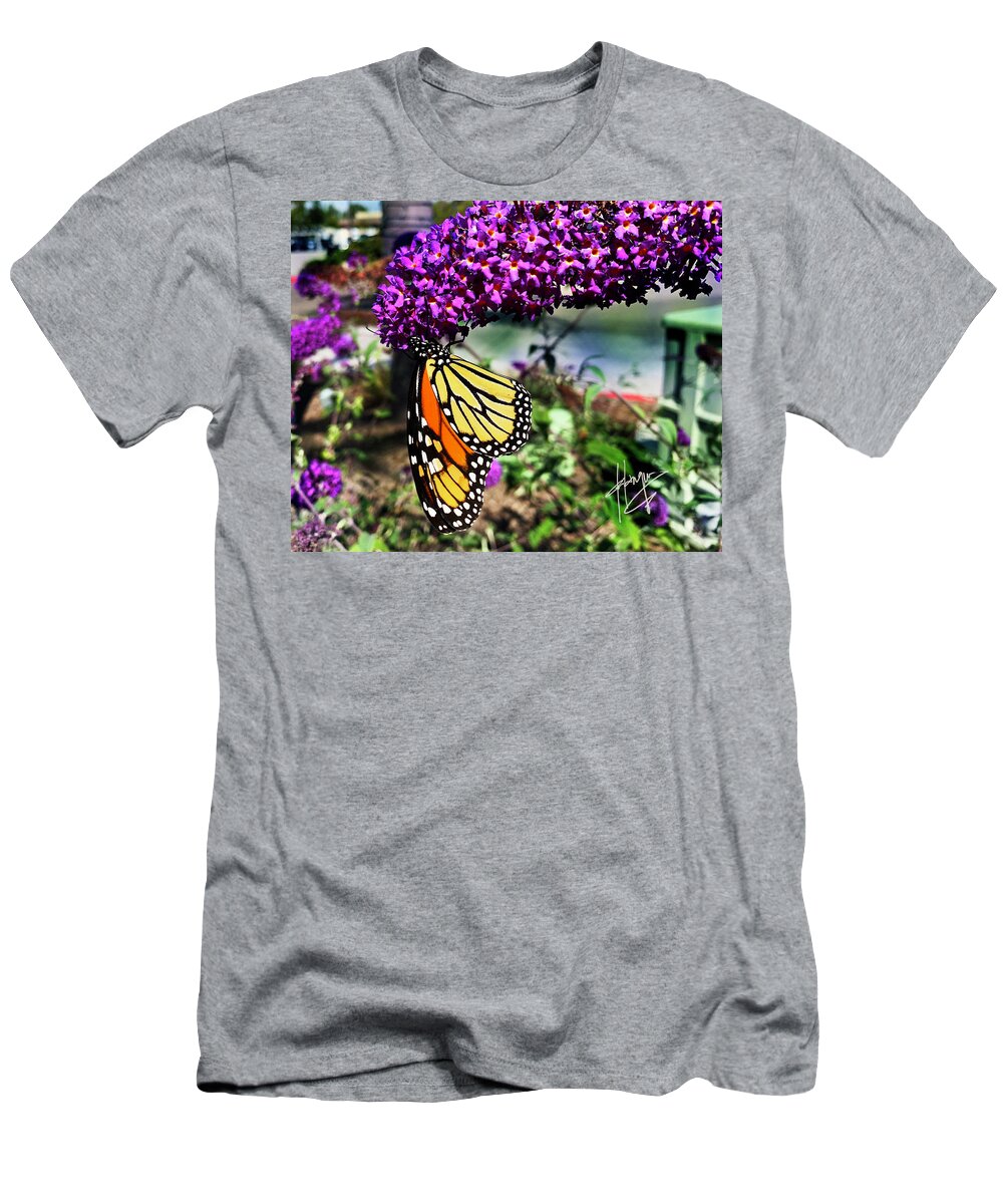 Monarch T-Shirt featuring the photograph Monarch Butterfly on a Magenta Flower by DC Langer