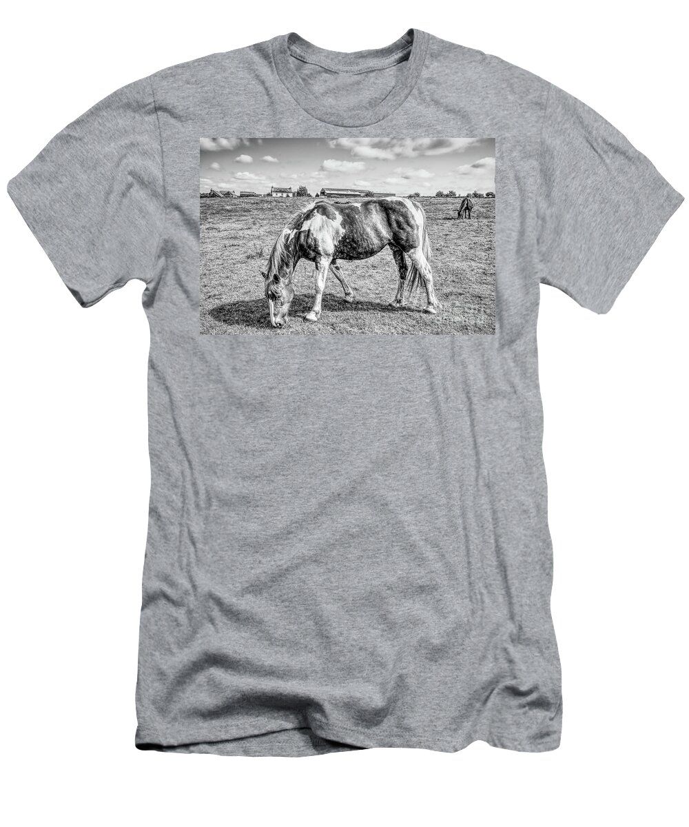Monochrome T-Shirt featuring the photograph Monochrome horses in a filed by Pics By Tony