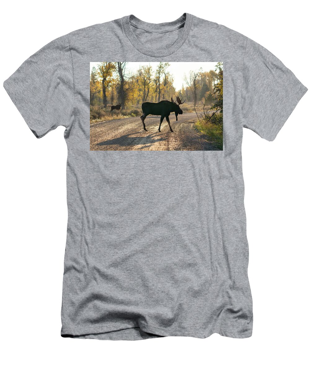 Moose T-Shirt featuring the photograph Moose in the Road by Wesley Aston