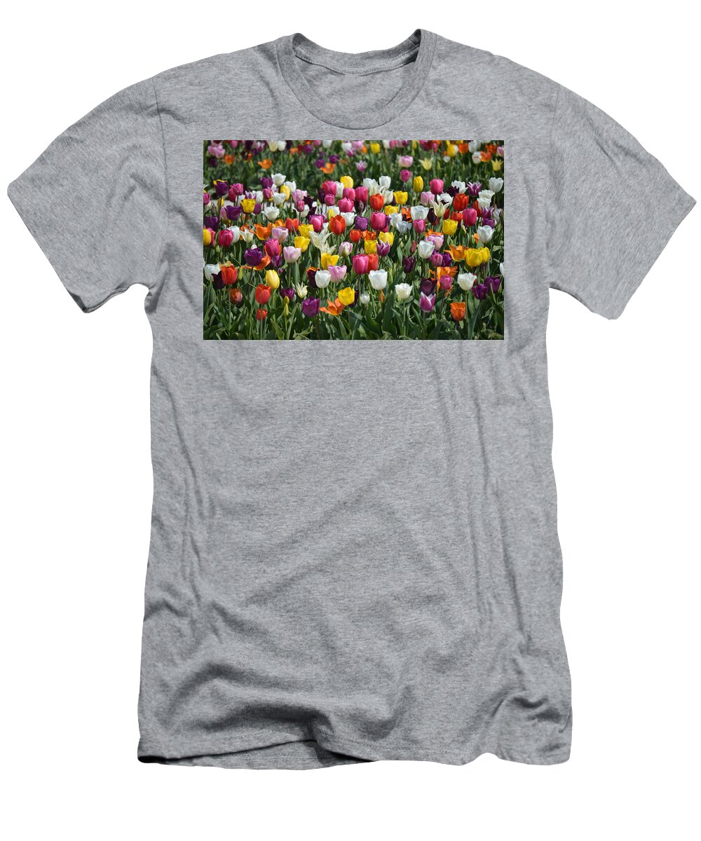 Tulips T-Shirt featuring the photograph Motely by Thomas Schroeder