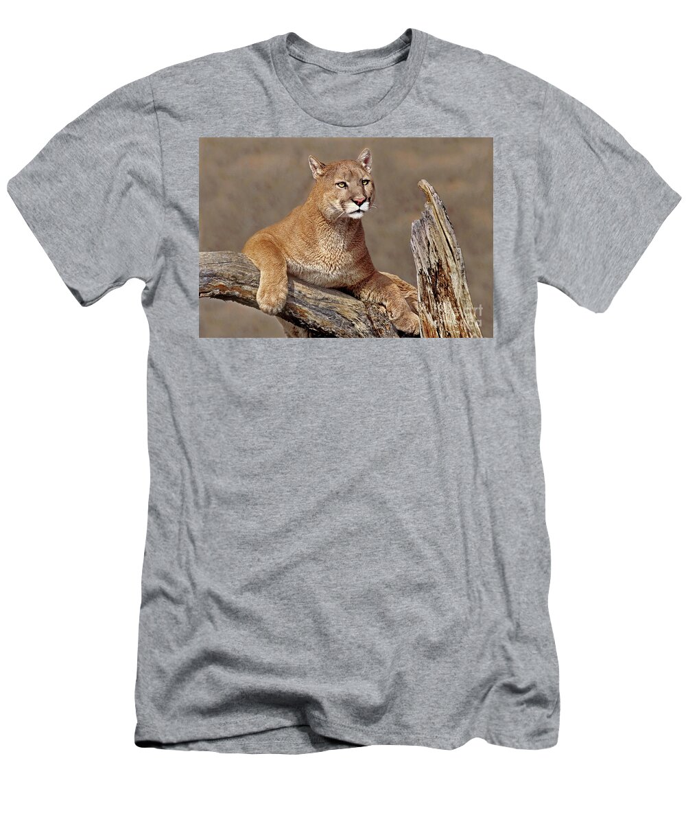 Dave Welling T-Shirt featuring the photograph Mountain Lion Felis Concolor by Dave Welling