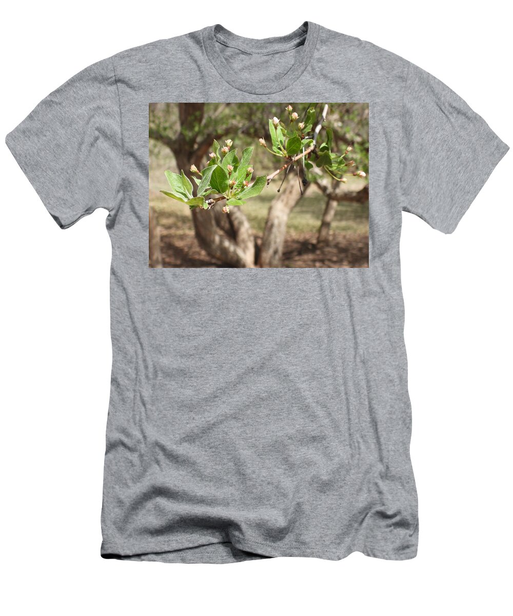 Blossoms T-Shirt featuring the photograph New Blossoms by Amanda R Wright