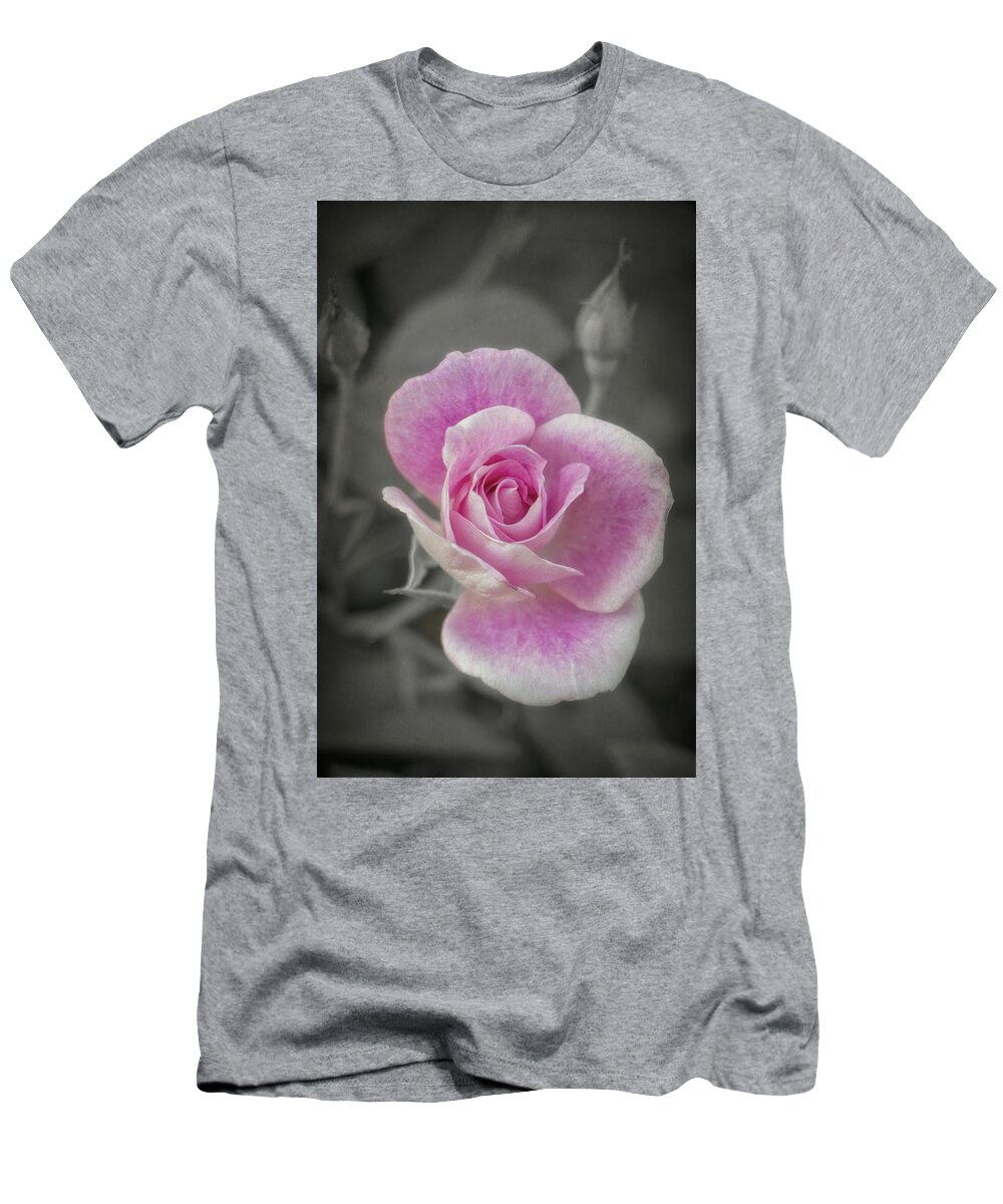 Roses T-Shirt featuring the photograph New Rose Bushes by Elaine Malott