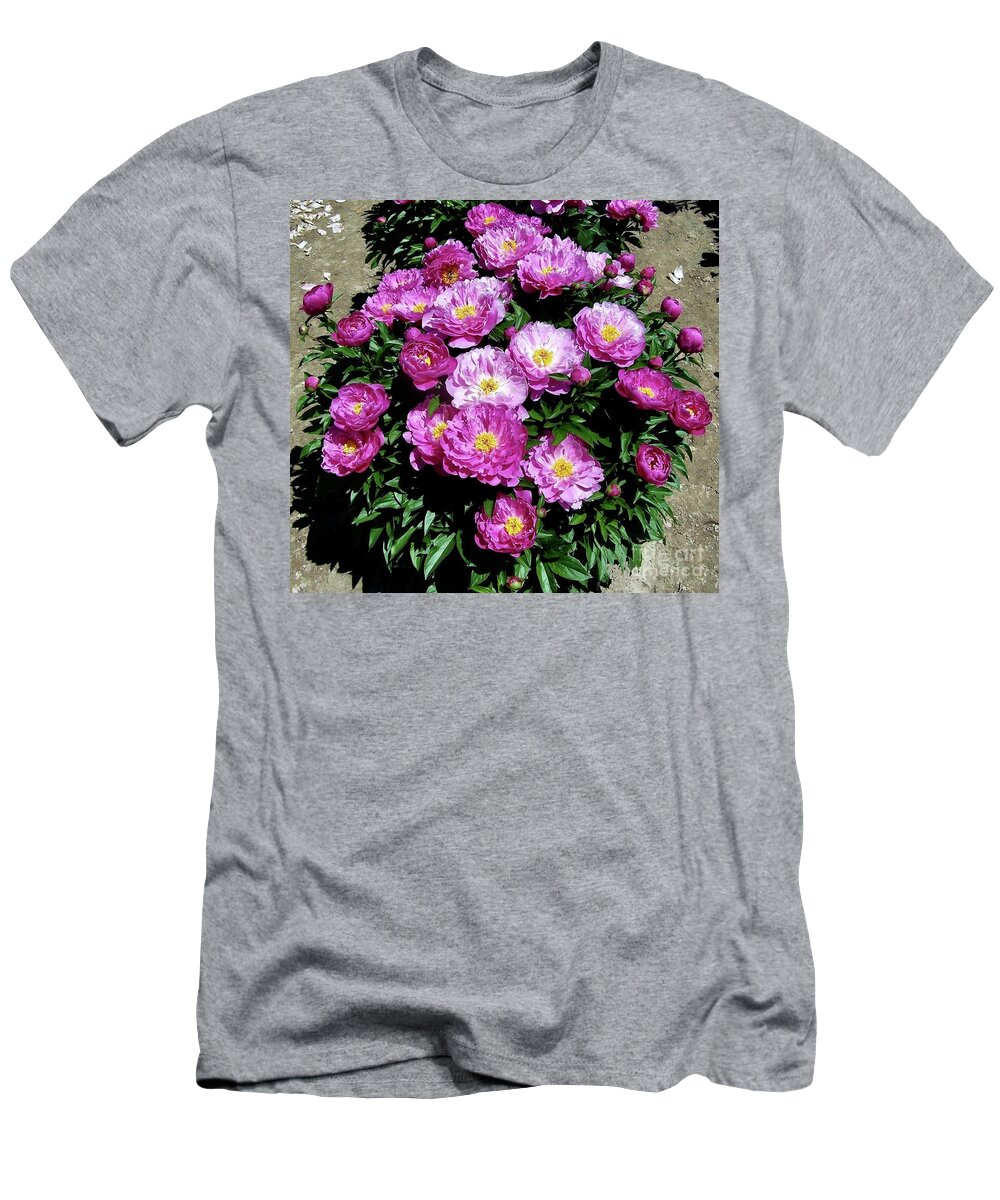 Peonies T-Shirt featuring the photograph Nice Gal Peony in Bloom by Stephanie Weber