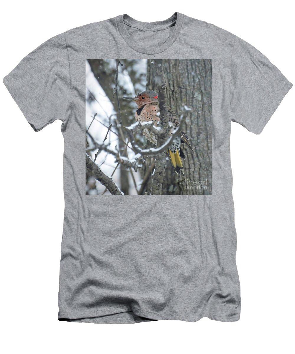 Northern Flicker T-Shirt featuring the photograph Northern Flicker in the Snow by Kerri Farley