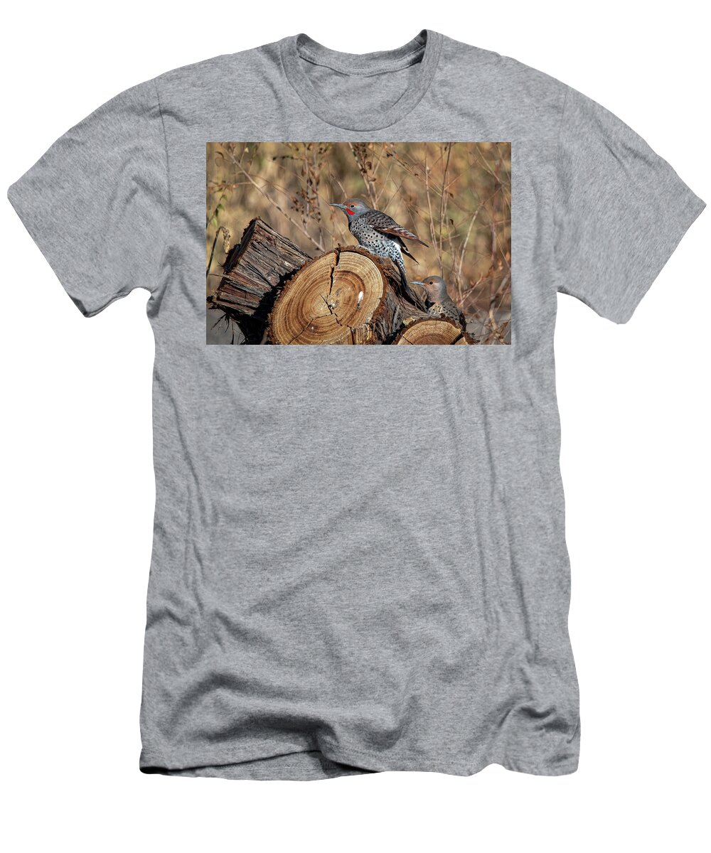 Northern Flicker Woodpecker T-Shirt featuring the photograph Northern Flickers by Rick Mosher
