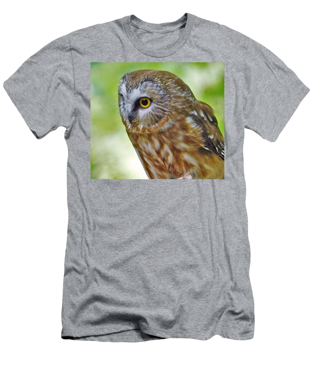 - Northern Saw-whet Owl T-Shirt featuring the photograph - Northern Saw-whet Owl by THERESA Nye