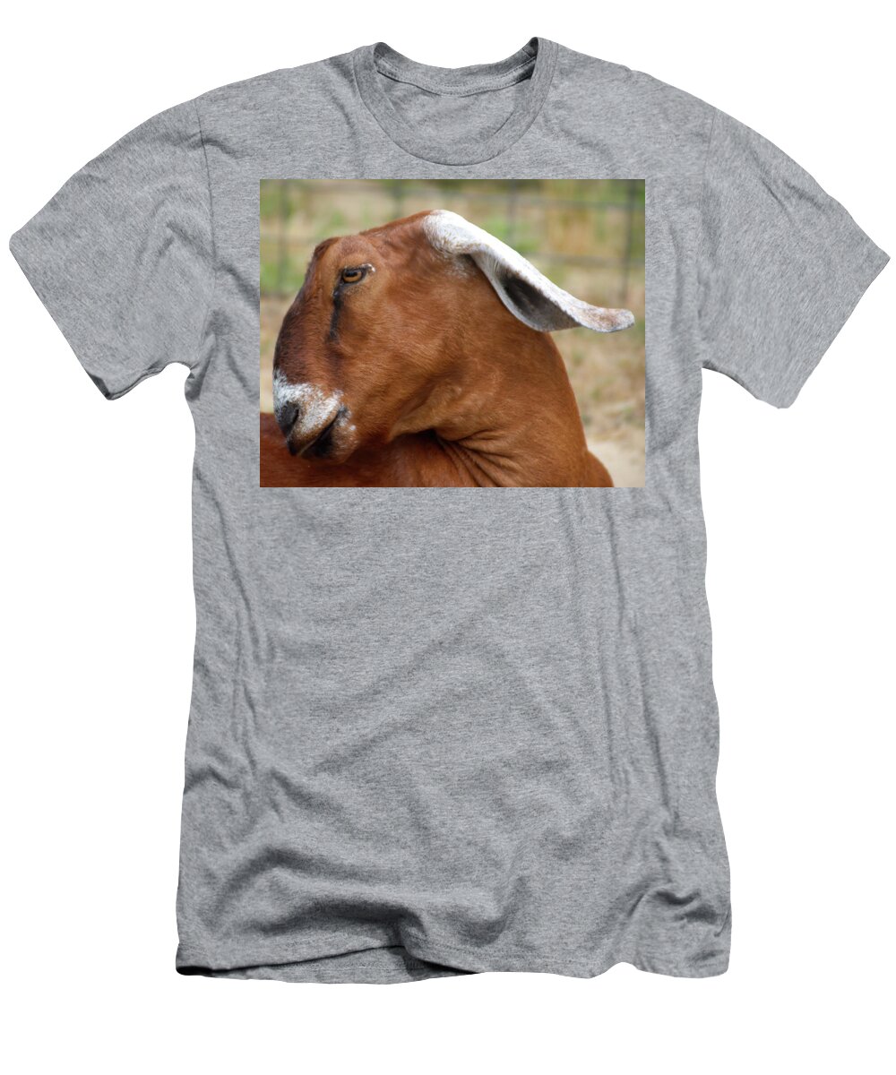 Goat T-Shirt featuring the photograph Nubian Goat by Flinn Hackett