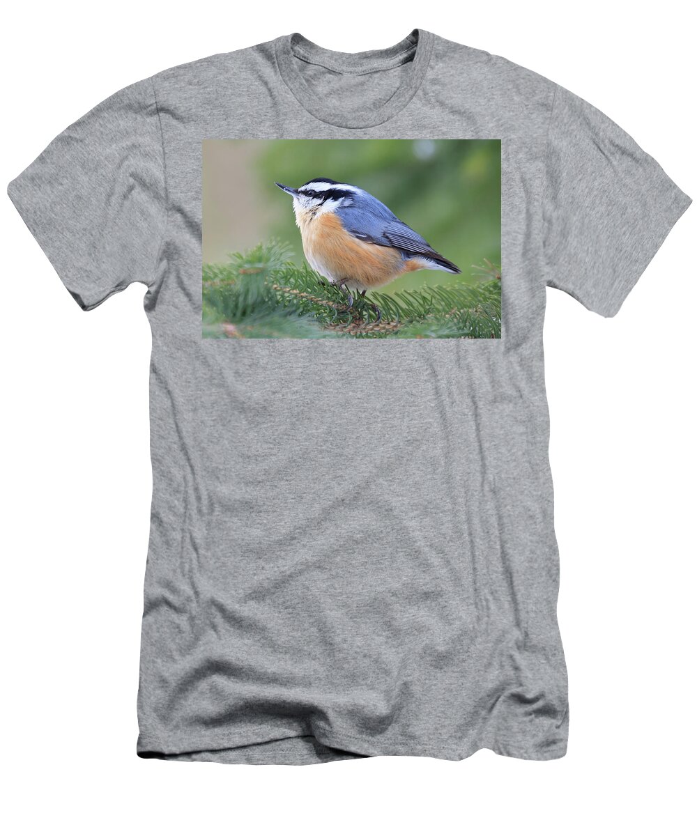 Door County T-Shirt featuring the photograph Nuthatch by Paul Schultz
