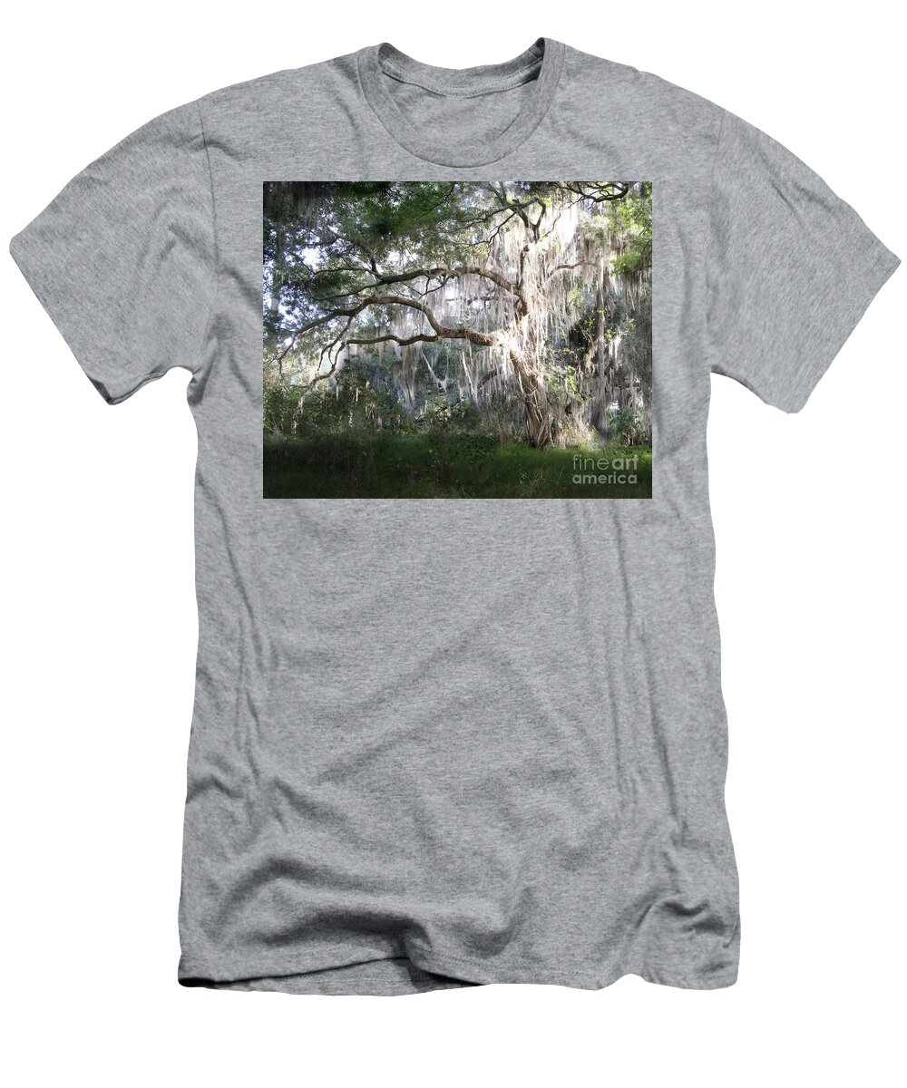 Oak Tree And Spanish Moss T-Shirt featuring the photograph Oak Tree And Spanish Moss, Circle B Bar Reserve, Lakeland, Florida by Felix Lai