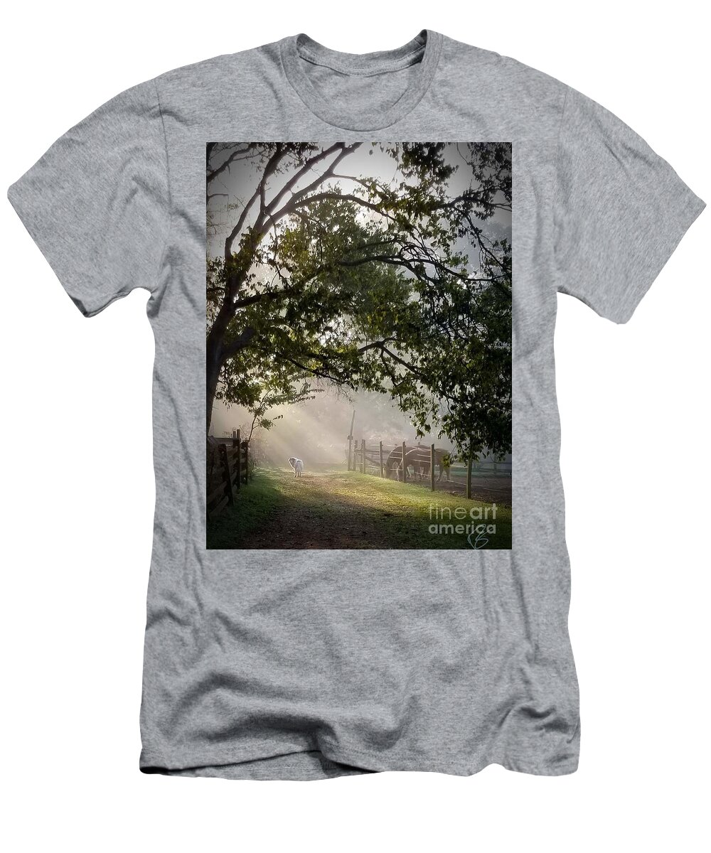 Sunlight T-Shirt featuring the photograph Ochee in the morning light by Rabiah Seminole