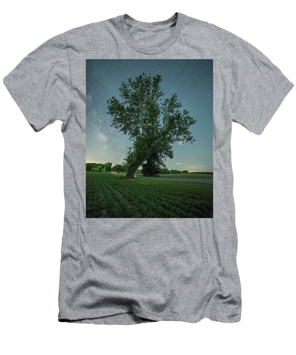 Franklin Indiana T-Shirt featuring the photograph Old Leaning Sycamore by Norberto Nunes