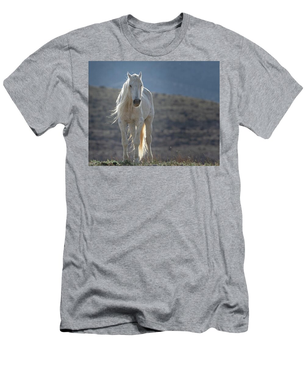 Wild Horses T-Shirt featuring the photograph Old Man in the Morning by Mary Hone