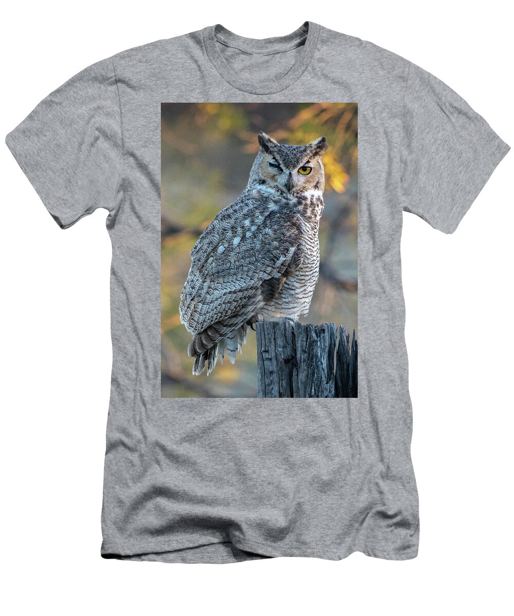 Great Horned Owl T-Shirt featuring the photograph One Eyed Owl by Steve Templeton