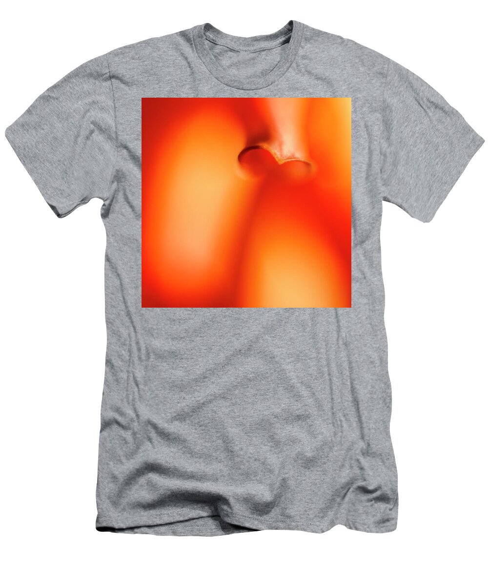 Orange T-Shirt featuring the photograph One Soft Pillar by Tony Locke
