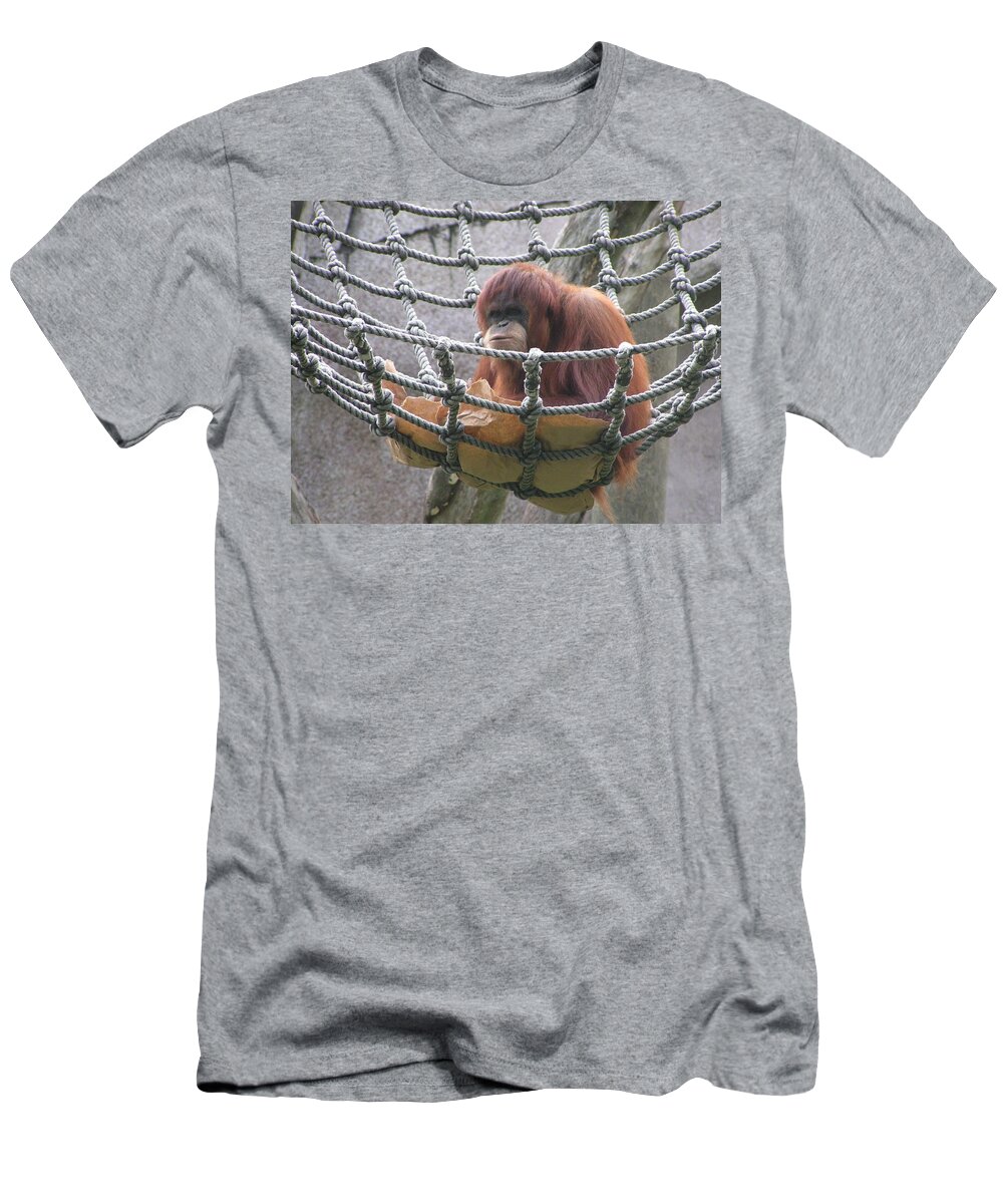 Audubon Zoo T-Shirt featuring the photograph Orangutan by Heather E Harman