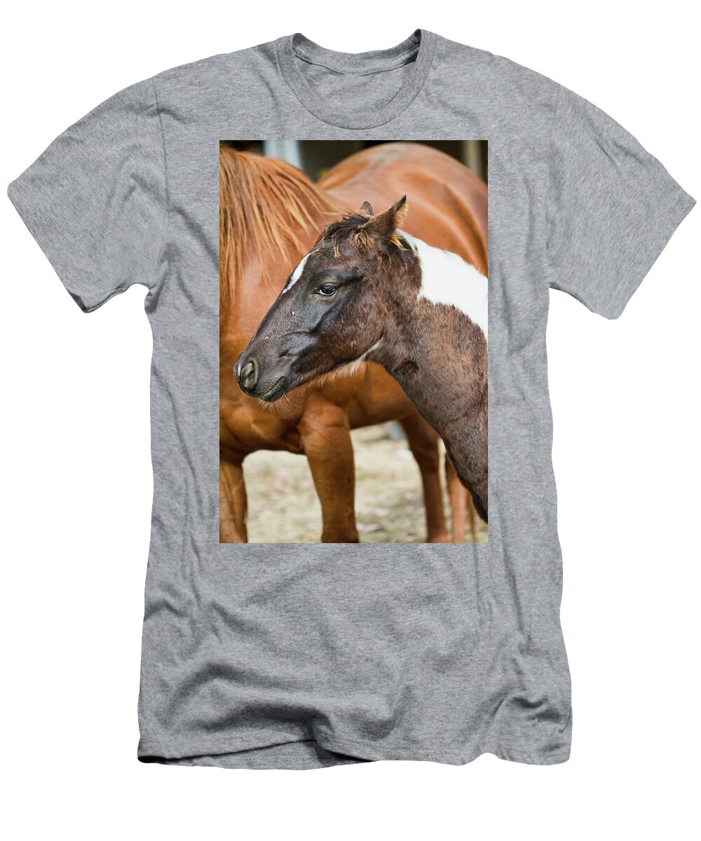 Painted T-Shirt featuring the photograph Painted Baby Pony by Kathy Clark