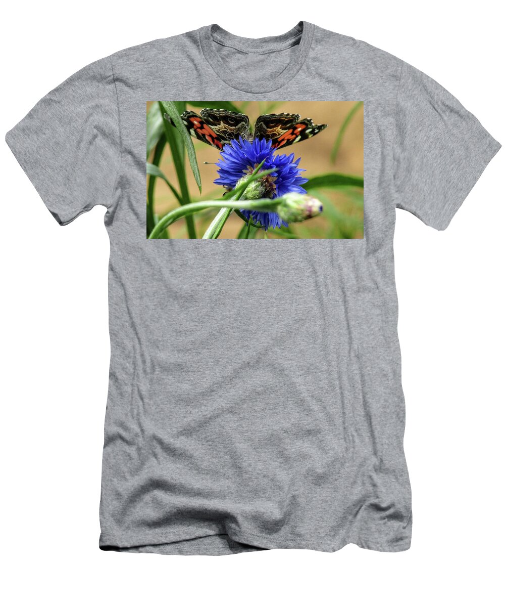 Butterfly T-Shirt featuring the photograph Painted Lady 4 by Kim Galluzzo
