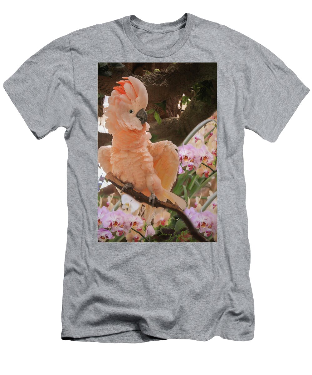 Cockatoo T-Shirt featuring the photograph Peach Cockatoo by Sally Bauer
