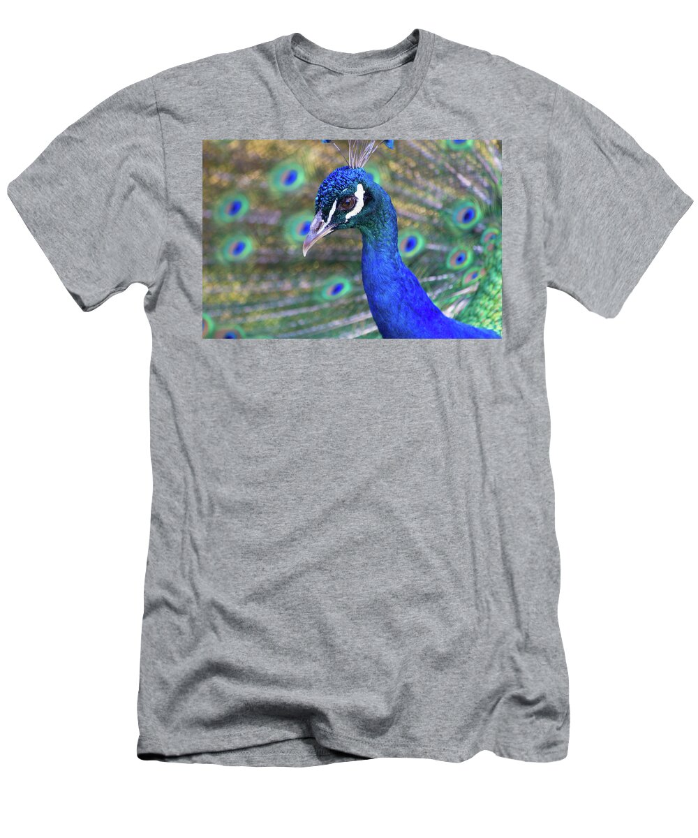 Peacock T-Shirt featuring the photograph Peacock 2 by Deborah M